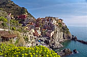 Liguria - Le Cinque Terre. Il Sentiero Verdeazzurro da Vernazza a Riomaggiore. Il paese di Manarola.